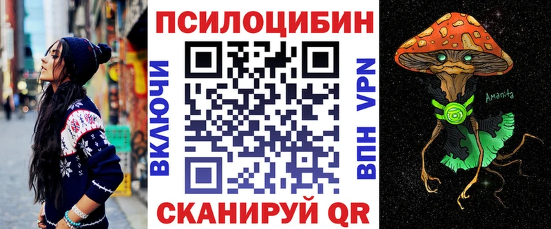 Купить  Туринск  Галлюциногенные грибы мицелий 